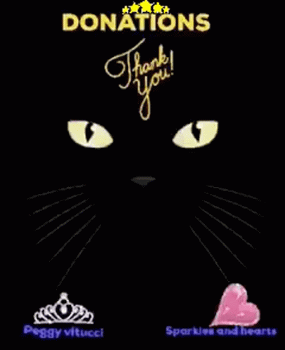Cat Black GIF - Cat Black Doggy Vitucci GIFs