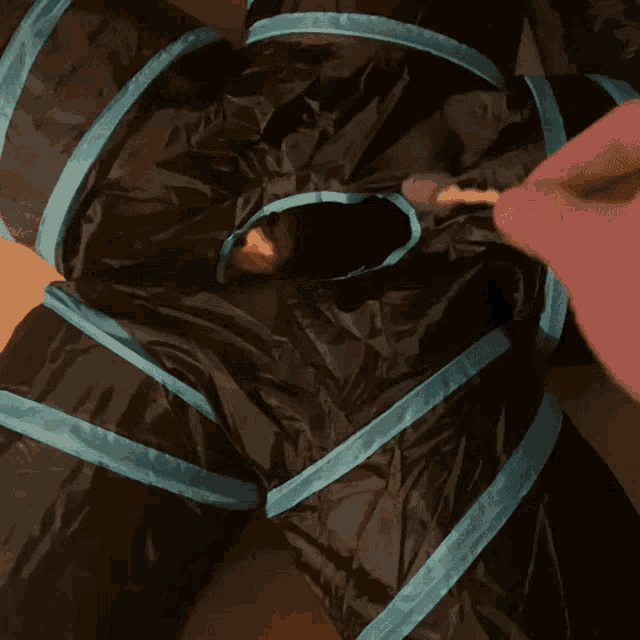 a cat is playing in a cat tunnel with blue stripes