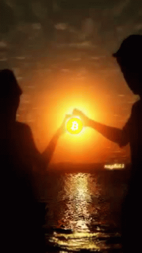 Bitcoin Sunrise GIF - Bitcoin Sunrise Love GIFs