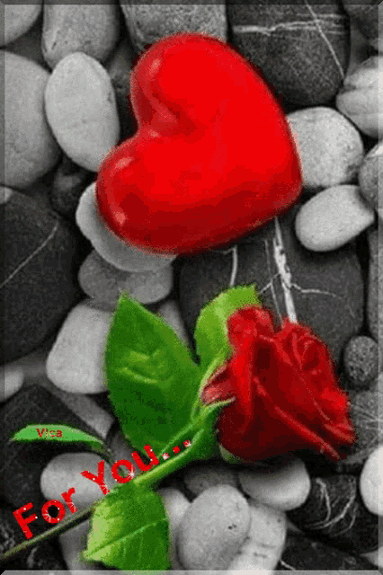 a red heart and a red rose on a rocky surface with the words for you written in red