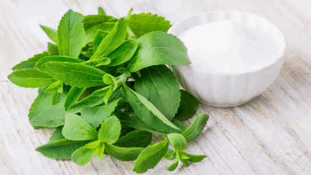 stevia leaves and a bowl of sugar on a wooden table