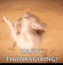 a happy thanksgiving greeting with a cat making a turkey face .