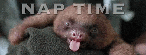 Nap Time GIF - Nap T Ime Sloth Yawn GIFs