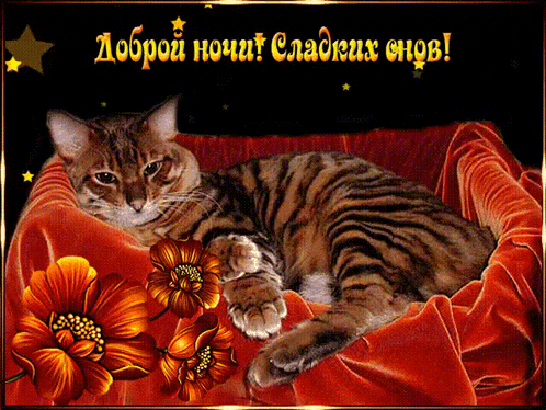 a picture of a cat laying on a red blanket with the words " доброй ночи " in gold letters