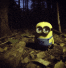 a yellow minion with big eyes is standing in a forest