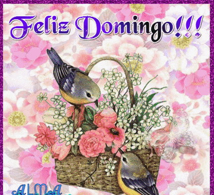 a greeting card that says feliz domingo with a basket of flowers