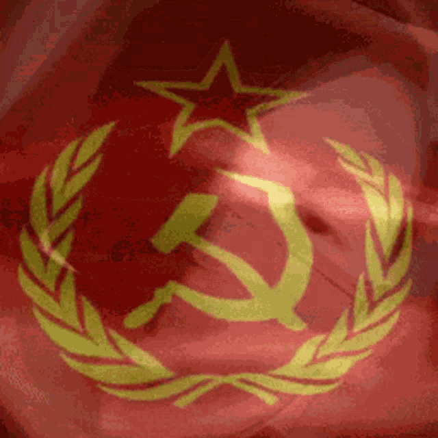 a red flag with a hammer and sickle and laurel wreath