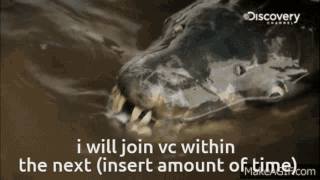 a discovery channel advertisement with a picture of a fish