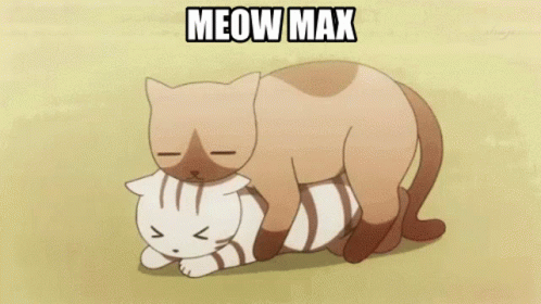 Meow Max Hump GIF - Meow Max Hump Cat GIFs