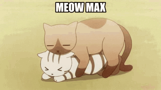 a couple of cats are laying on top of each other with the words meow max written above them .