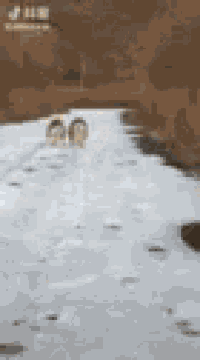 a blurred image of a river with a bridge in the background