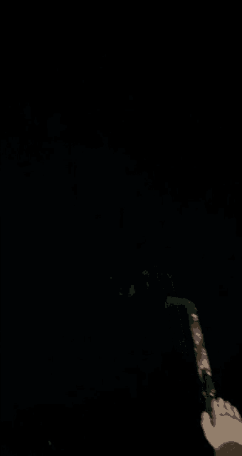 a person is holding a firework display in the dark