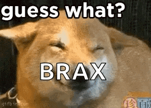 a dog is laying down with its eyes closed and the words `` guess what brax '' written on it .