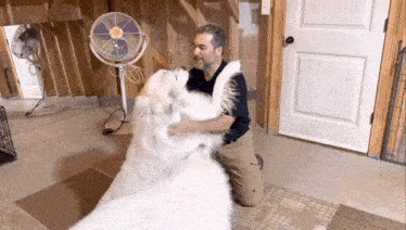 a man is kneeling down next to a white dog in a room .