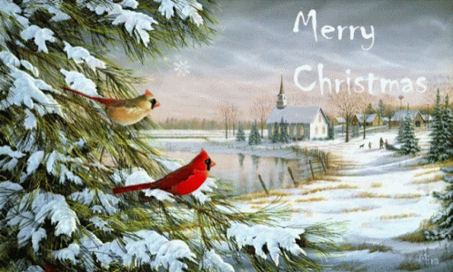 Merry Christmas Cardinal GIF - Merry Christmas Cardinal Snowing GIFs