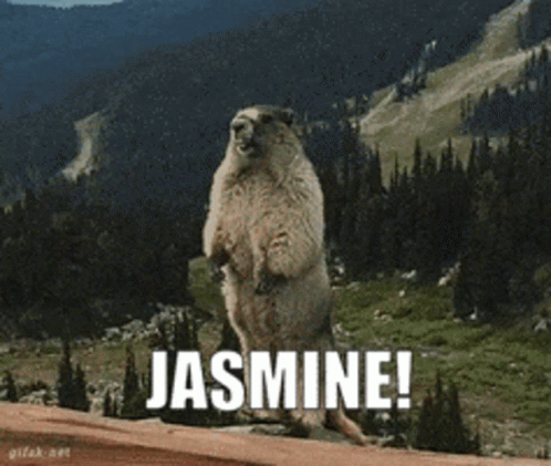 Jasmine Beaver GIF - Jasmine Beaver Groundhog GIFs