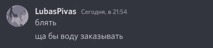 a screenshot of a discord conversation with the name lubaspivas