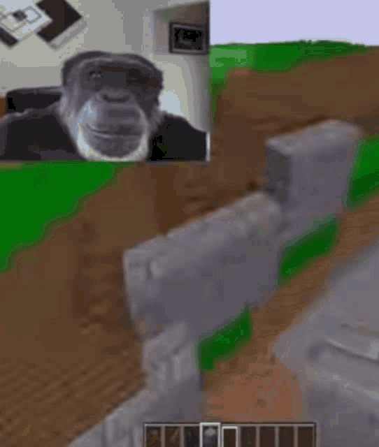 Gaming Monkey GIF - Gaming Monkey Monkey Gaming GIFs