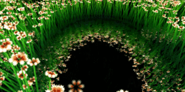 a bunch of flowers are growing in a field