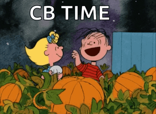 a cartoon of charlie brown and snoopy in a pumpkin patch with cb time written on the bottom