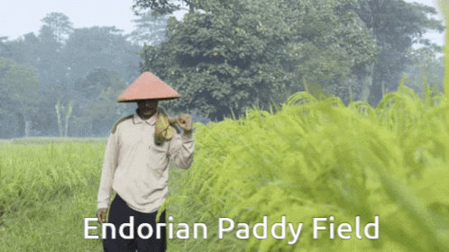 Vietnam Farmer GIF - Vietnam Farmer GIFs