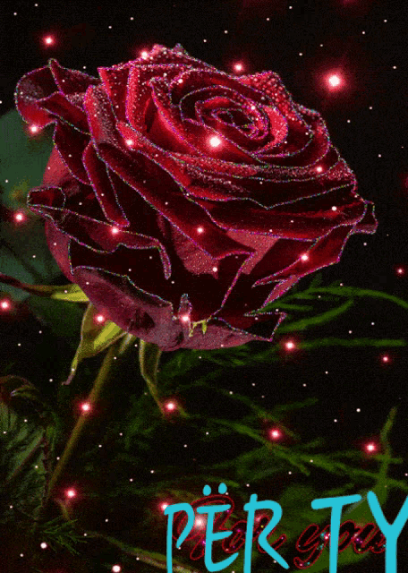 Rosa Trëndafil GIF - Rosa Trëndafil Lule GIFs