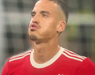 Benfica Champions GIF - Benfica Champions Chiquinho GIFs
