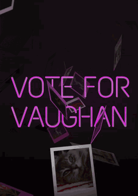 Vote For Vaughan Photos GIF - Vote For Vaughan Photos Voting GIFs