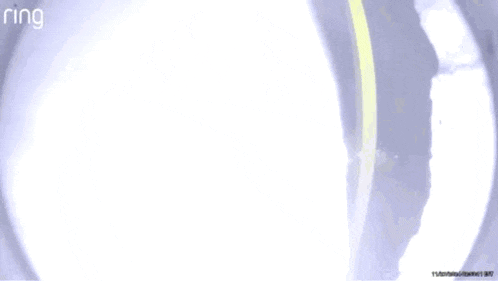 a ring camera shows a person walking through a door