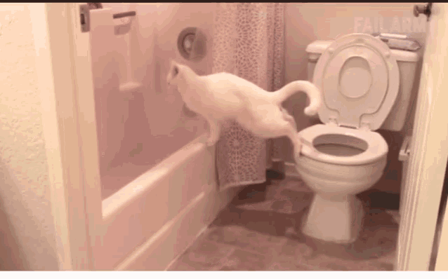 a white cat is jumping into a toilet in a bathroom with failarmy written on the door