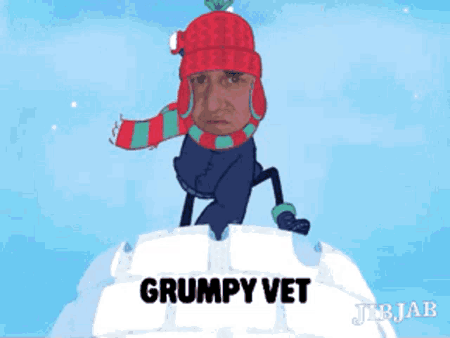 a grumpy vet is standing on top of an igloo in the snow