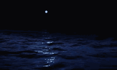 a full moon is shining over the ocean at night .