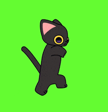 a black cat is standing on its hind legs on a green background .