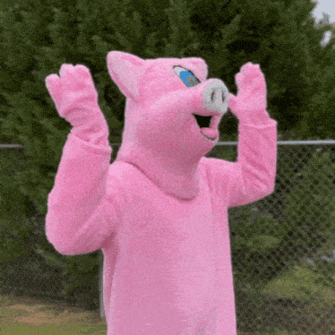 a person in a pink pig mascot costume with their hands in the air