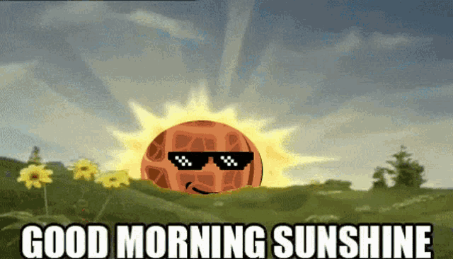 a cartoon of a peanut wearing sunglasses with the words good morning sunshine below it