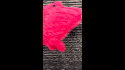 a person is holding a pink stuffed animal on a black surface .