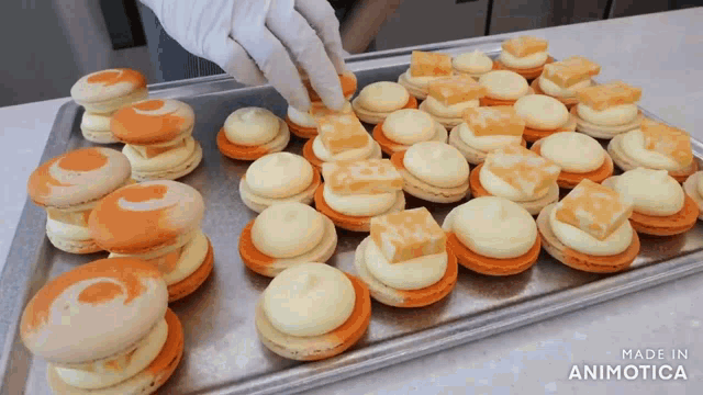a bunch of macarons are on a tray made in animotica