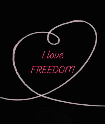 Freedom I Love Freedom GIF - Freedom I Love Freedom Heart GIFs