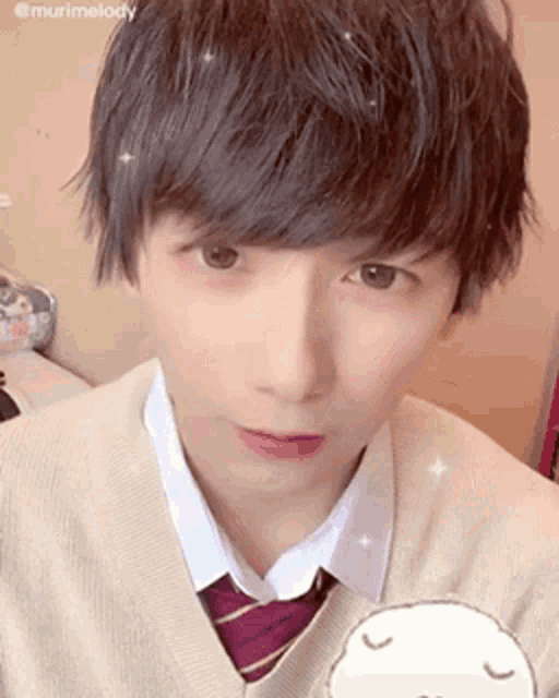 a young man is wearing a sweater and tie and looking at the camera .