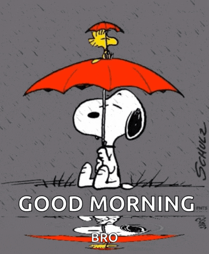a cartoon of snoopy and woodstock under an umbrella with the words good morning bro below them