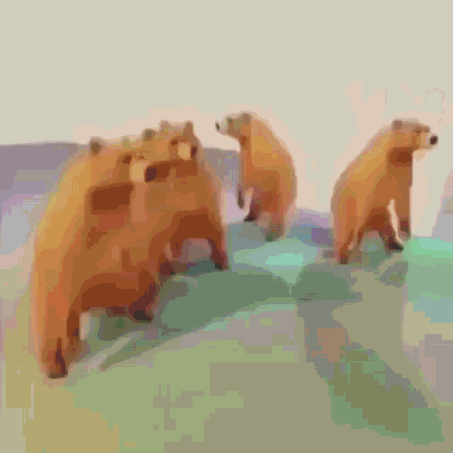 Bear Dance GIF - Bear Dance GIFs