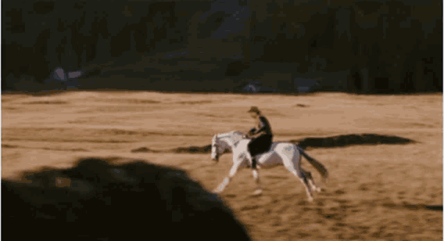 a man in a cowboy hat is riding a white horse