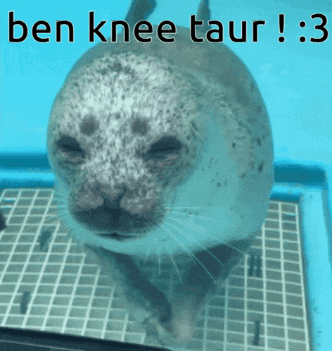 a seal with the words ben knee taur written above it