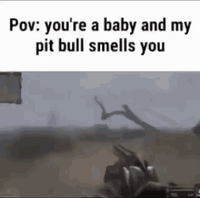 a video game scene with a caption that says " you 're a baby and my pit bull smells you " .