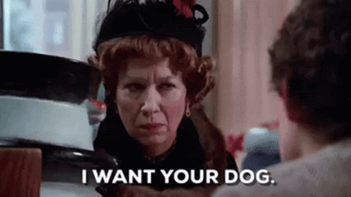 I Want Your Dog GIF - I Want Your Dog GIFs