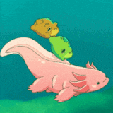 a pink axolotl and a green frog are swimming together