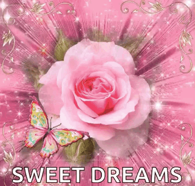 Sweet Dreams Good Night GIF - Sweet Dreams Good Night Rose GIFs