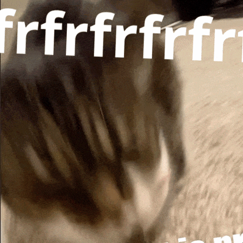 a close up of a cat with the words frfrfrfrfr in white