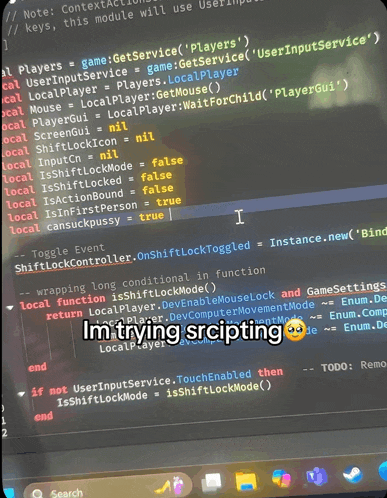 a screen shot of a program that says i 'm trying scripting on it