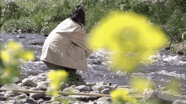 a person sits on a rock near a river with yellow flowers in the background